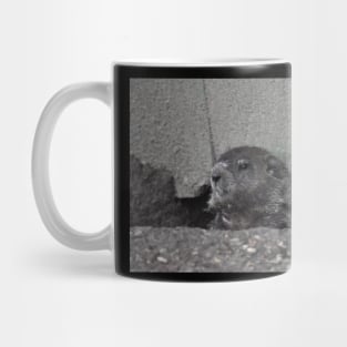 Ground Hog Mug